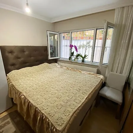 Demirtas Palace Apartment