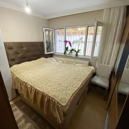 Apartment Demirtas Palace