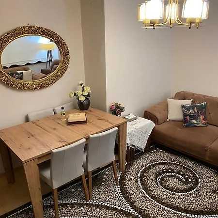 Apartment Demirtas Palace
