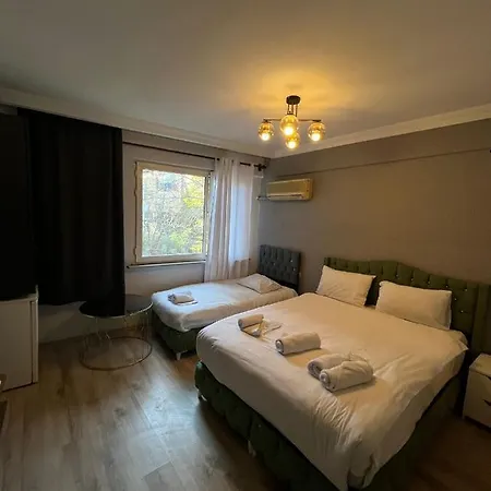 Apartment Demirtas Palace