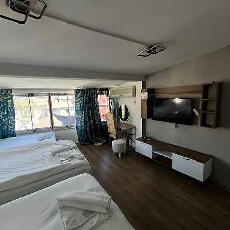 Demirtas Palace Apartment *
