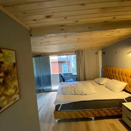 Demirtas Palace Apartment *