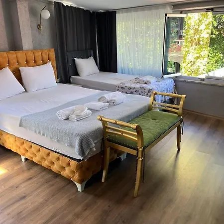 Demirtas Palace Apartment